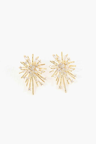 Flare Post Earrings