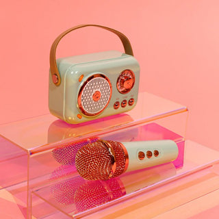 On-the-Go Mini Karaoke Kit